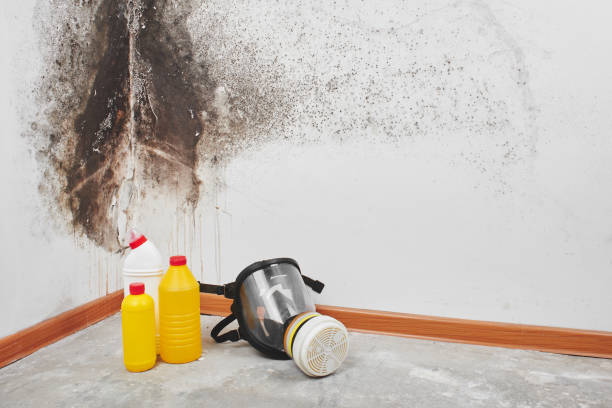 Best Affordable Mold Removal  in Keshena, WI