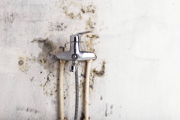 Water Damage Restoration in Keshena, WI
