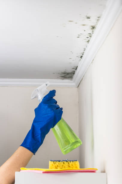 Best Office Mold Removal Services  in Keshena, WI